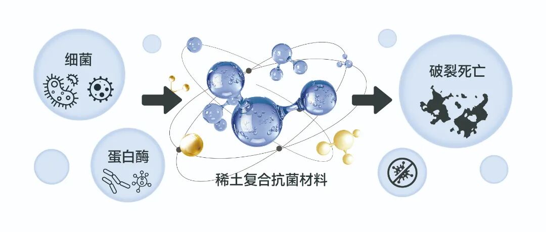 1774836271276062.jpg 640 (3).jpg